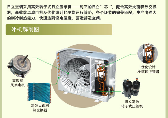 羞羞视频免费在线观看特性